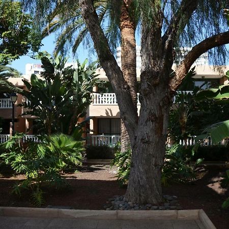 Ferienwohnung Parque De Las Americas Costa Adeje  Exterior foto